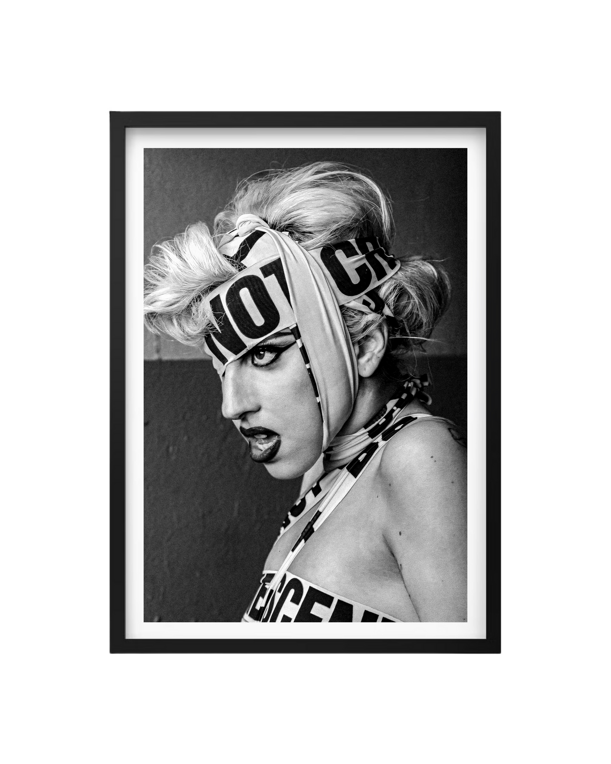 Cuadro Lady Gaga: Advertencia de Ícono