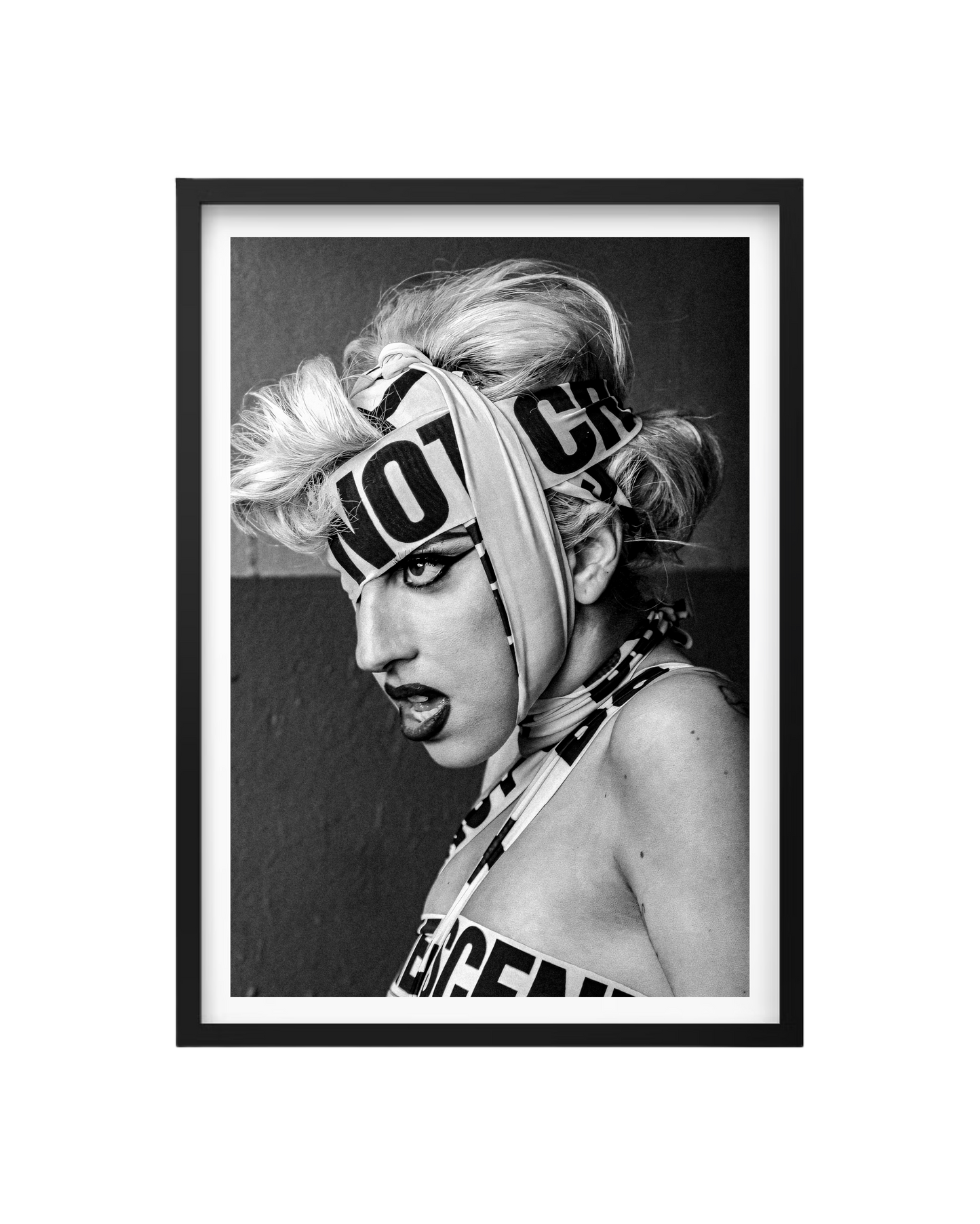 Cuadro Lady Gaga: Advertencia de Ícono