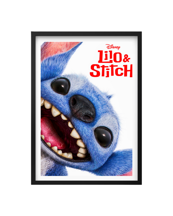 Cuadro Lilo & Stitch