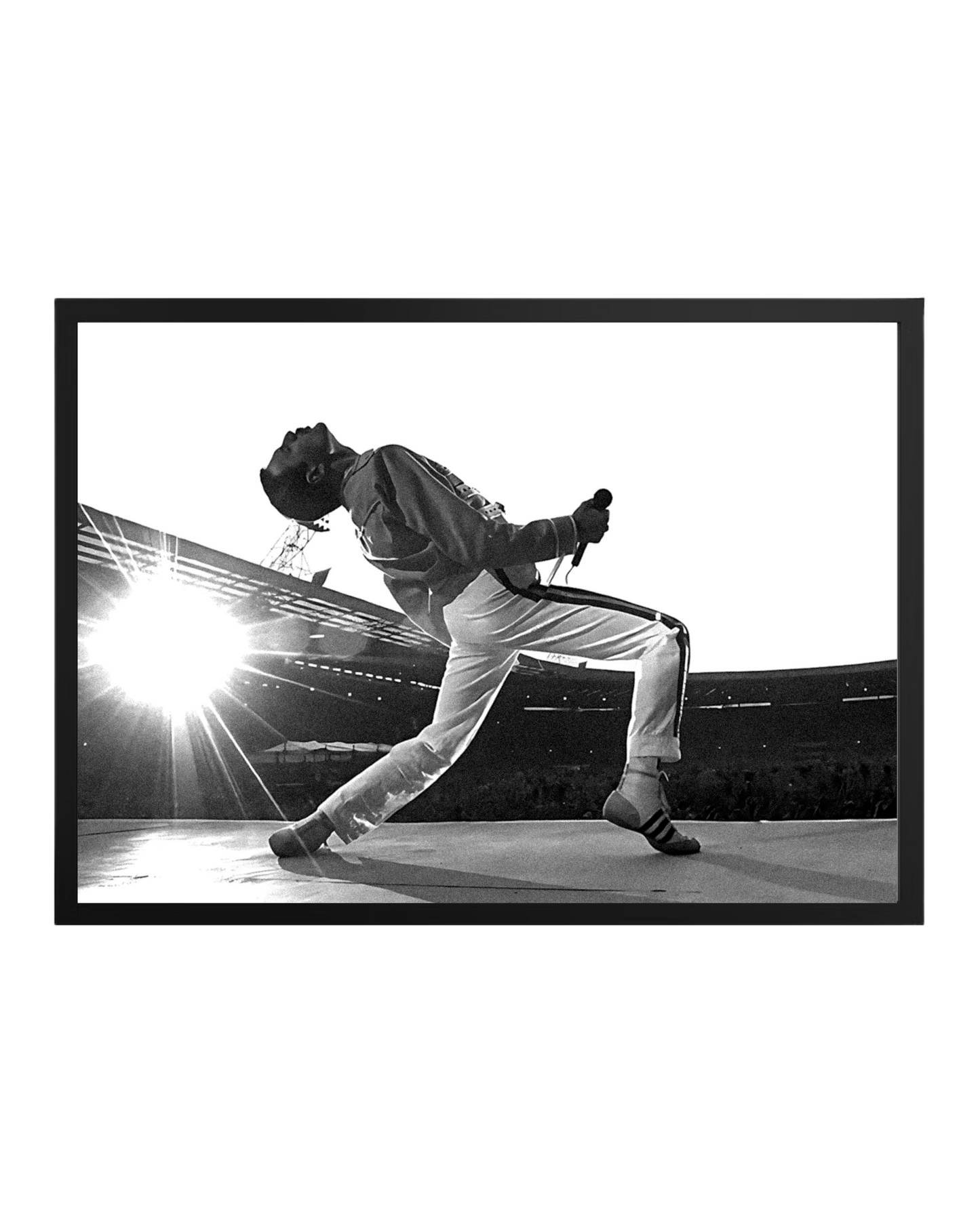 Cuadro Freddie Mercury Queen