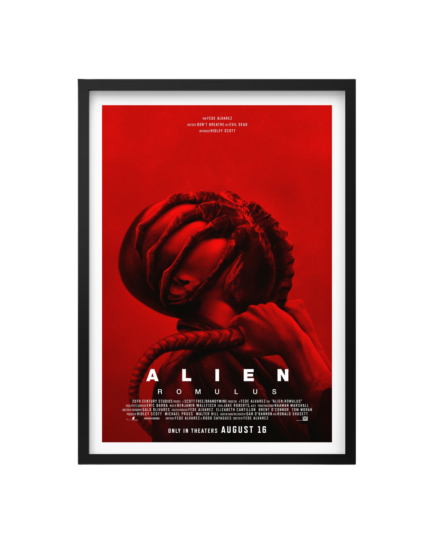 Cuadro Alien Romulus