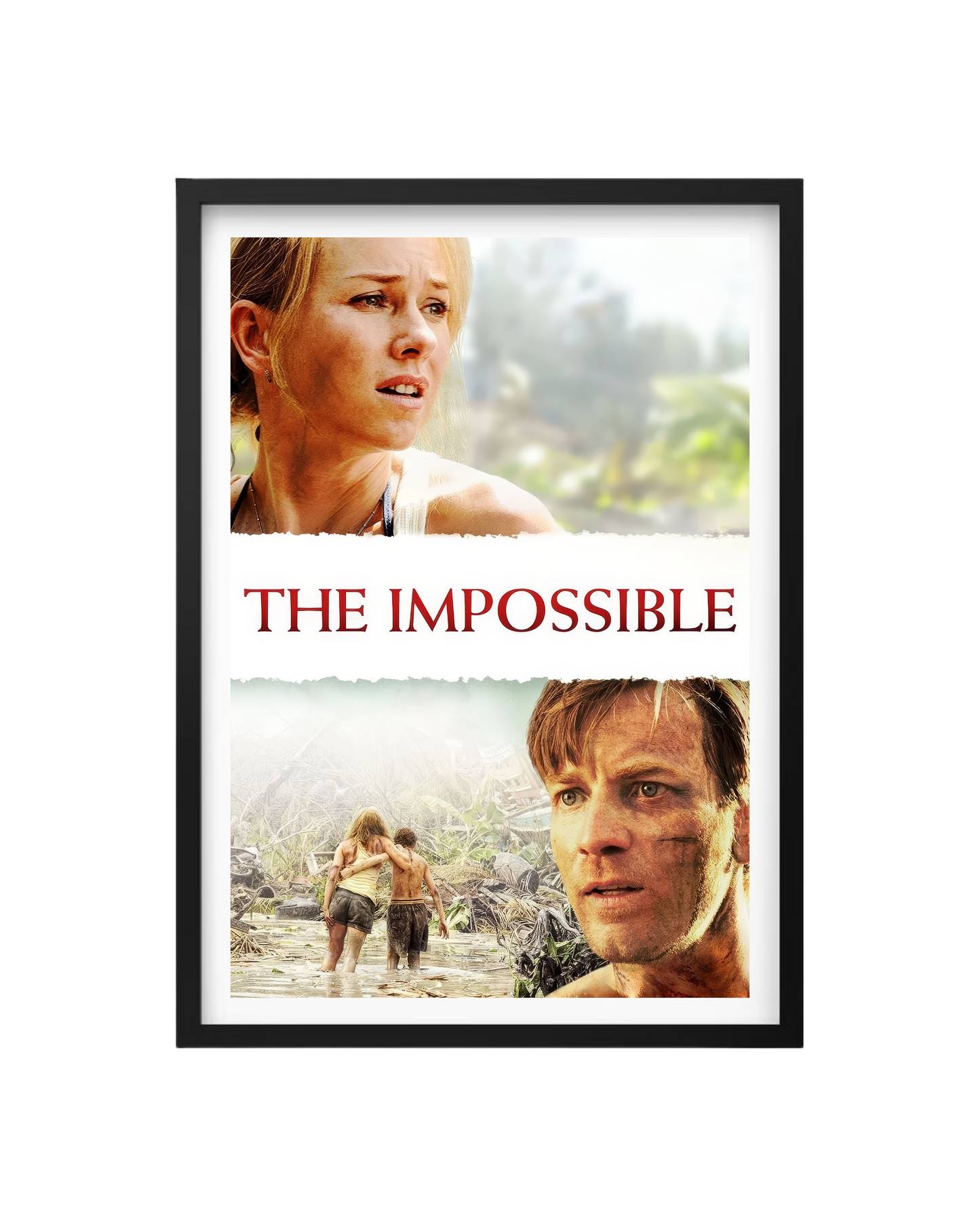 Cuadro Lo Imposible