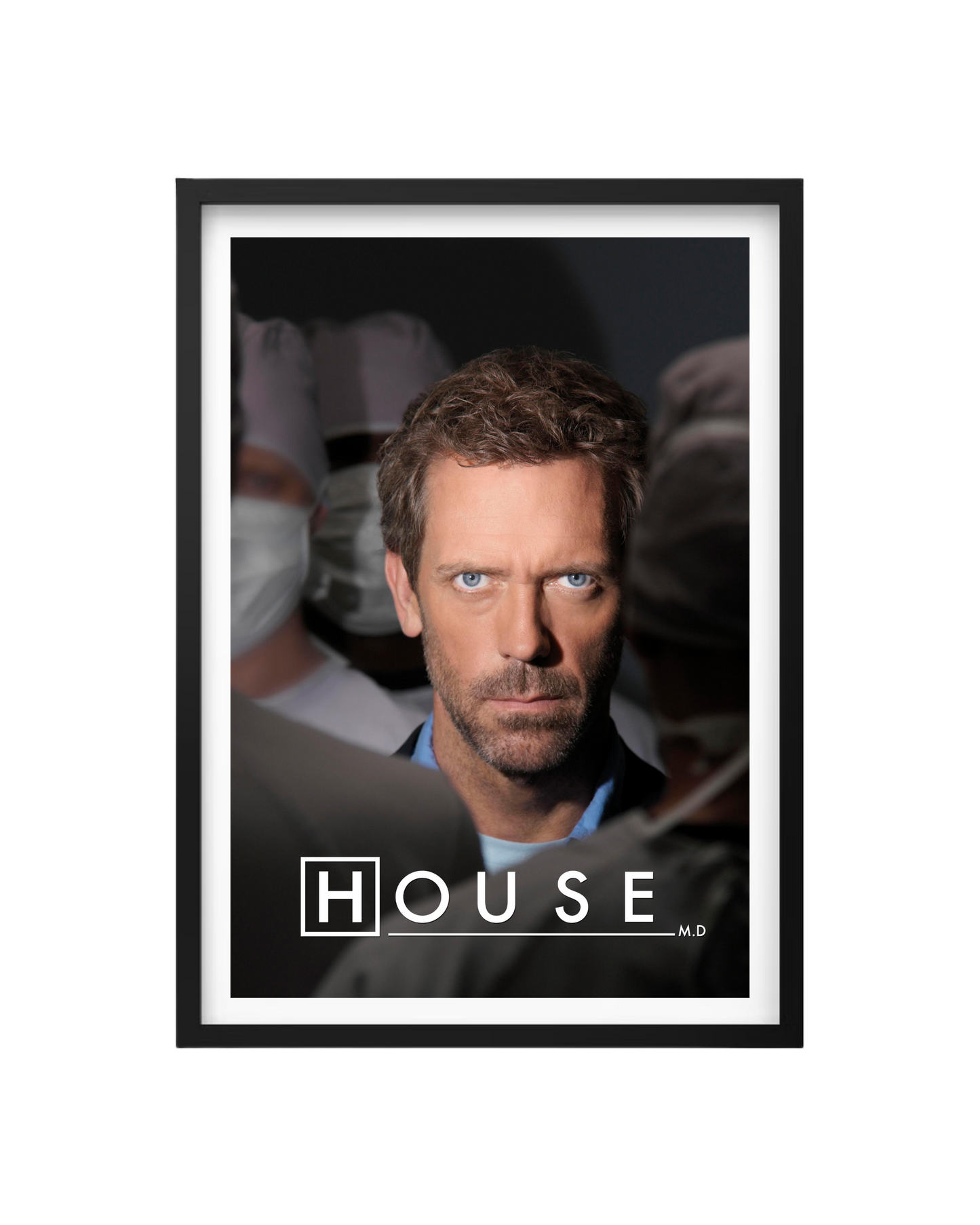 Cuadro Dr. House - El Genio Incorregible