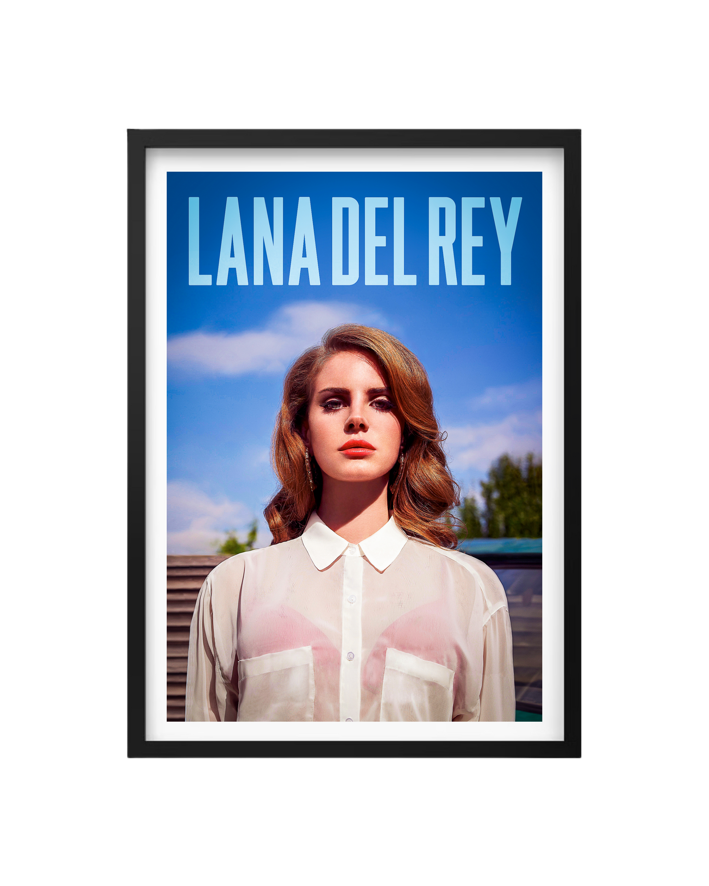 Cuadro Lana Del Rey