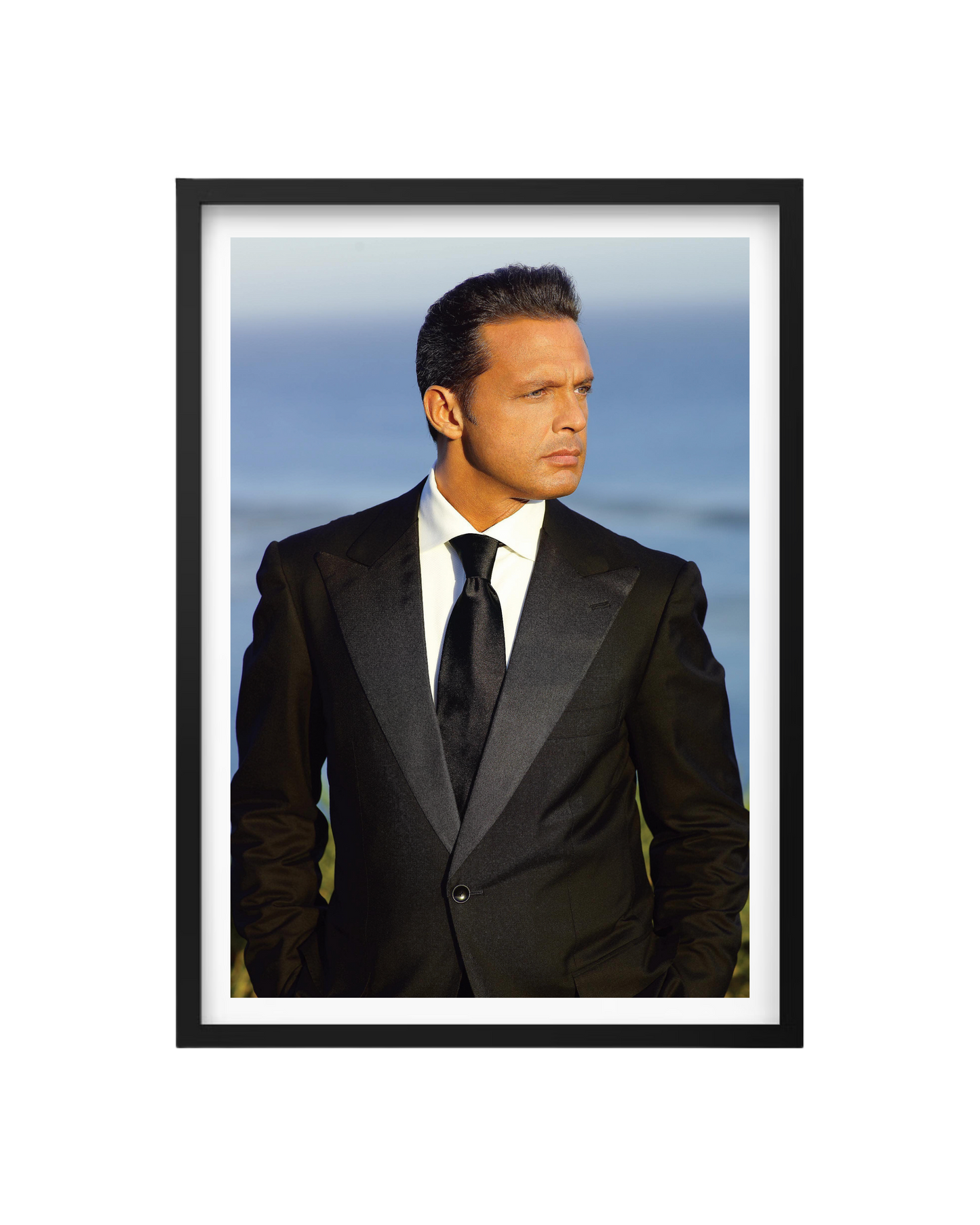 Cuadro Luis Miguel