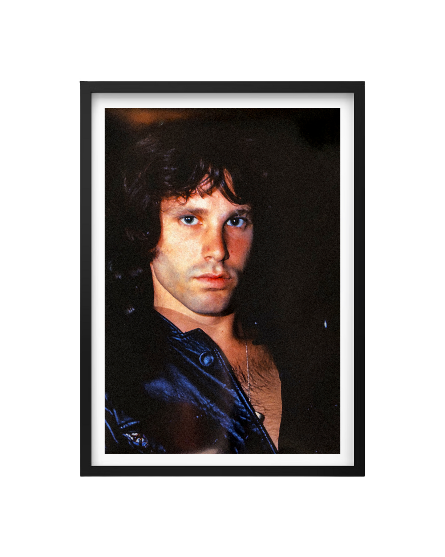 Cuadro Jim Morrison The Doors