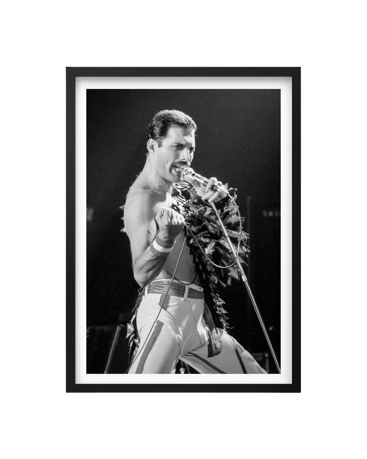 Cuadro Freddie Mercury - Queen