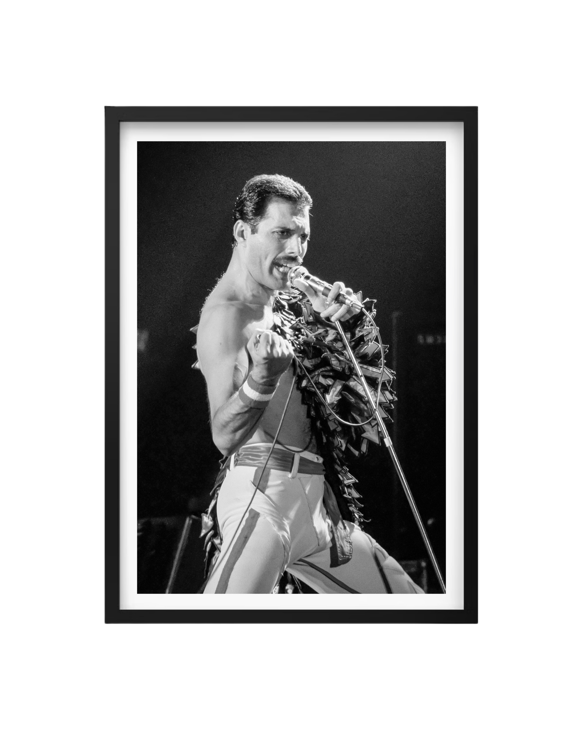 Cuadro Freddie Mercury - Queen