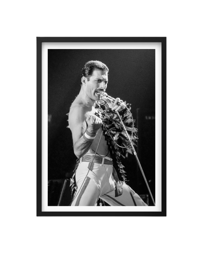 Cuadro Freddie Mercury - Queen
