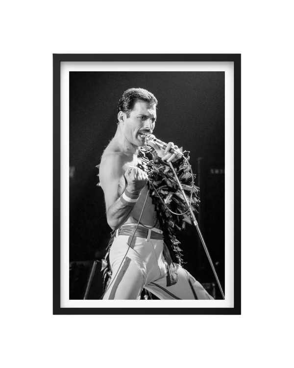 Cuadro Freddie Mercury - Queen