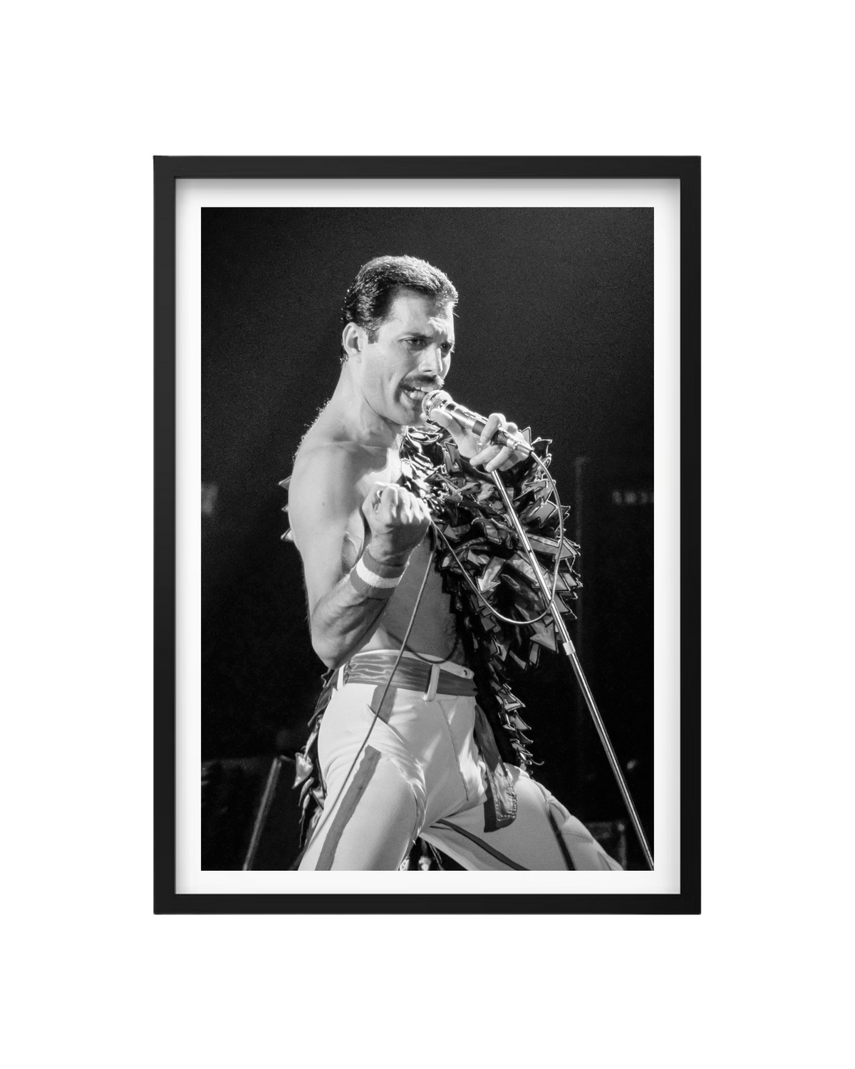 Cuadro Freddie Mercury - Queen