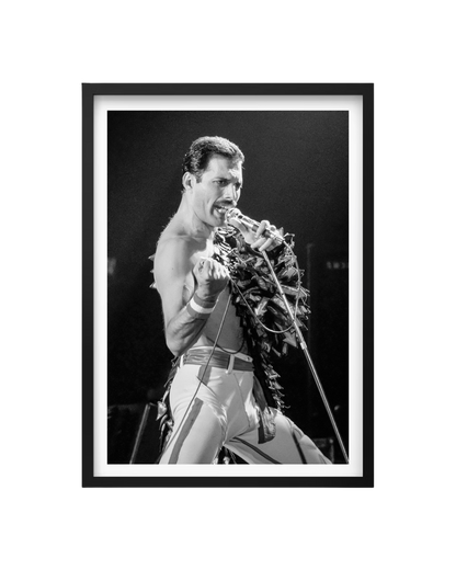 Cuadro Freddie Mercury - Queen