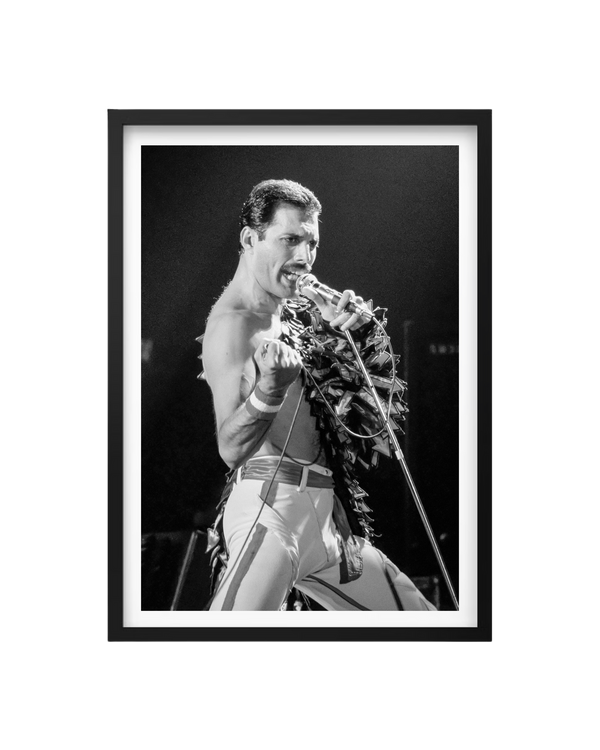 Cuadro Freddie Mercury - Queen