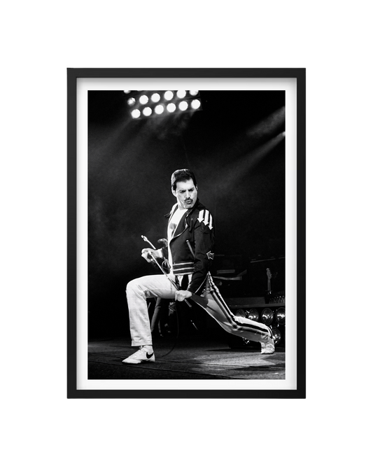 Cuadro Freddie Mercury (Queen) - Live