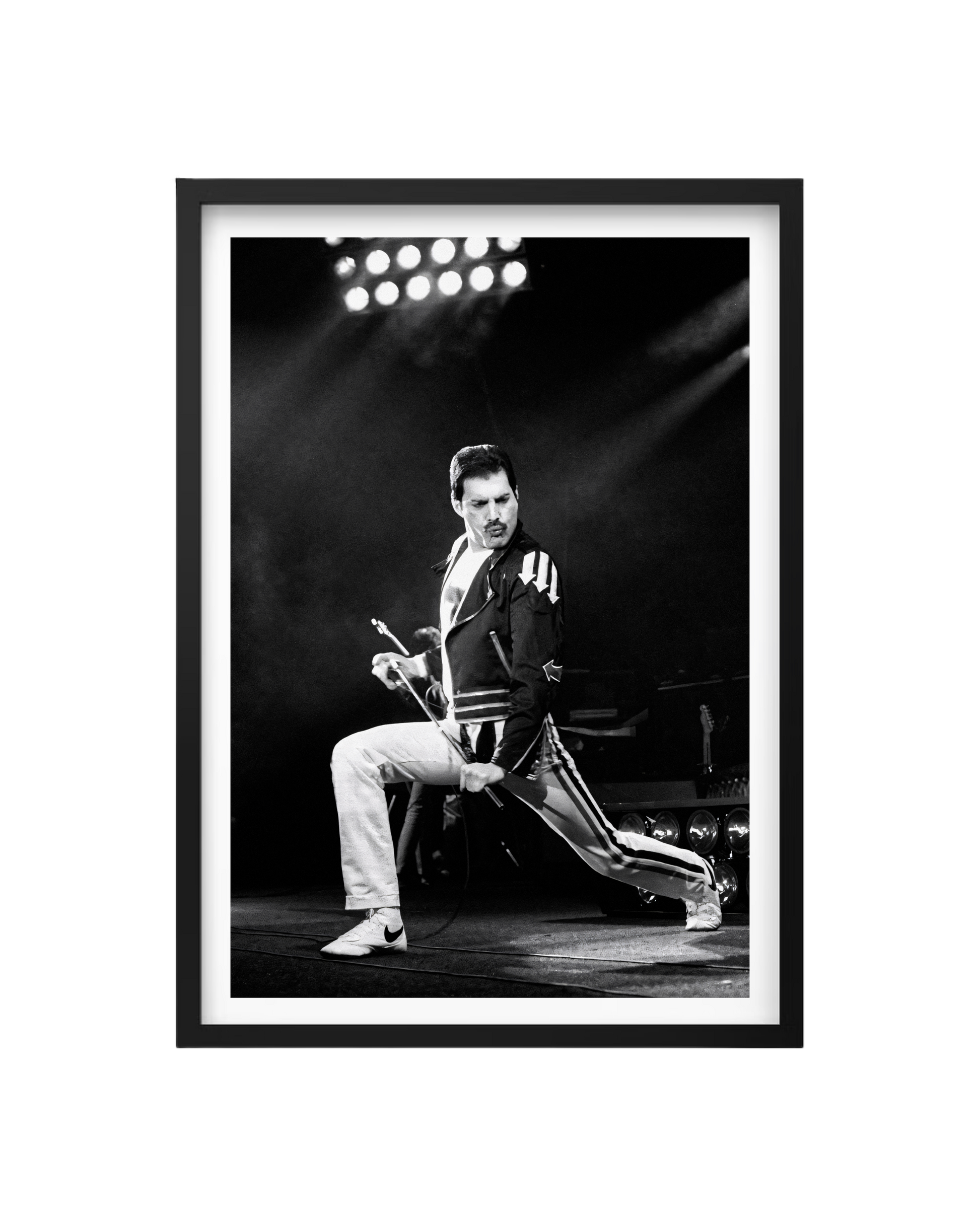 Cuadro Freddie Mercury (Queen) - Live