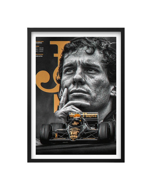 Cuadro Ayrton Senna