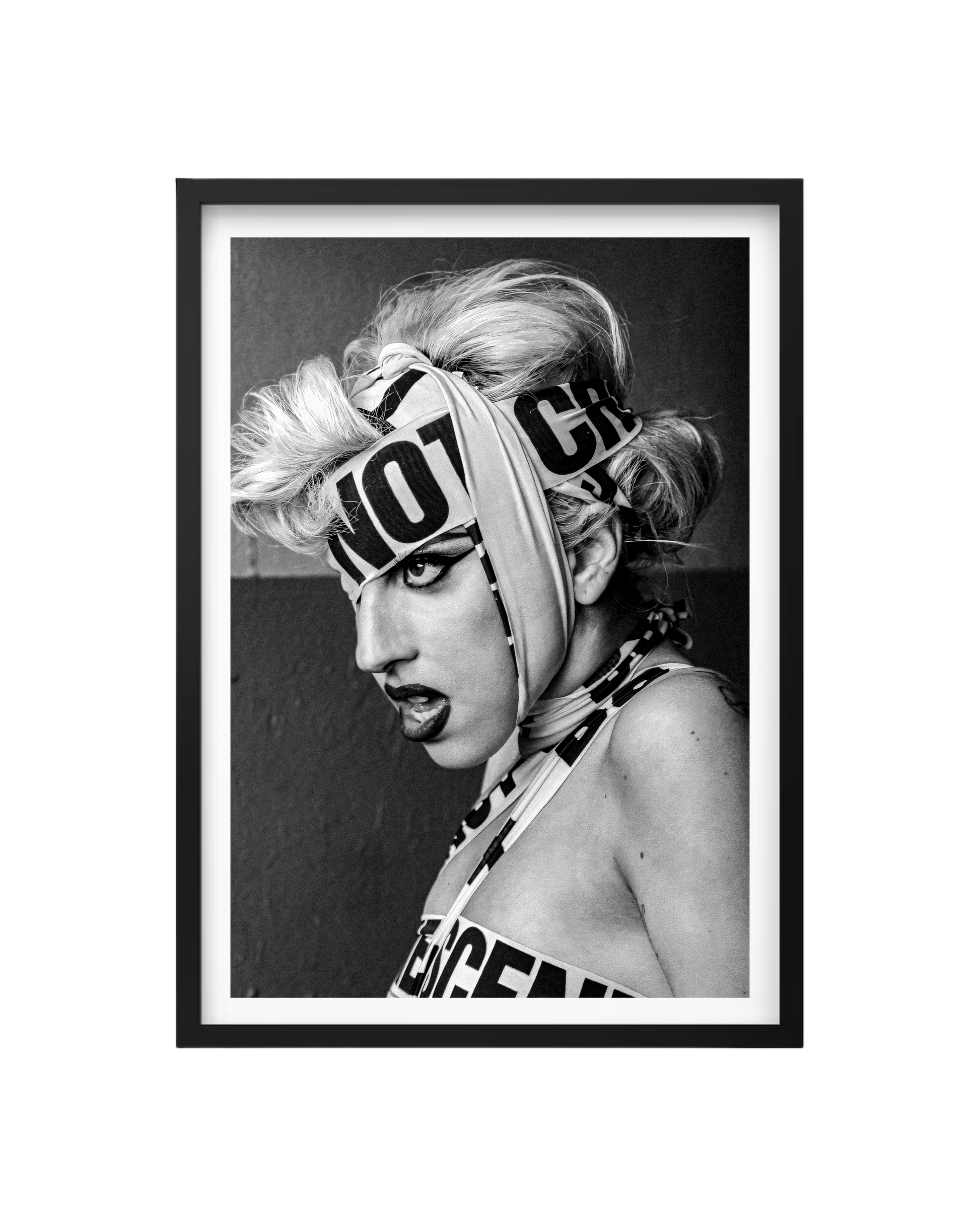 Cuadro Lady Gaga: Advertencia de Ícono