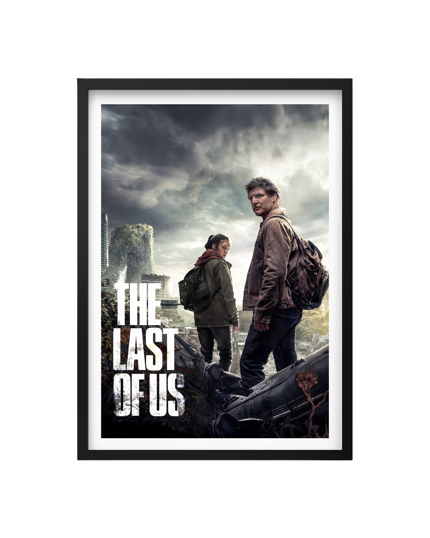 Cuadro The Last Of Us