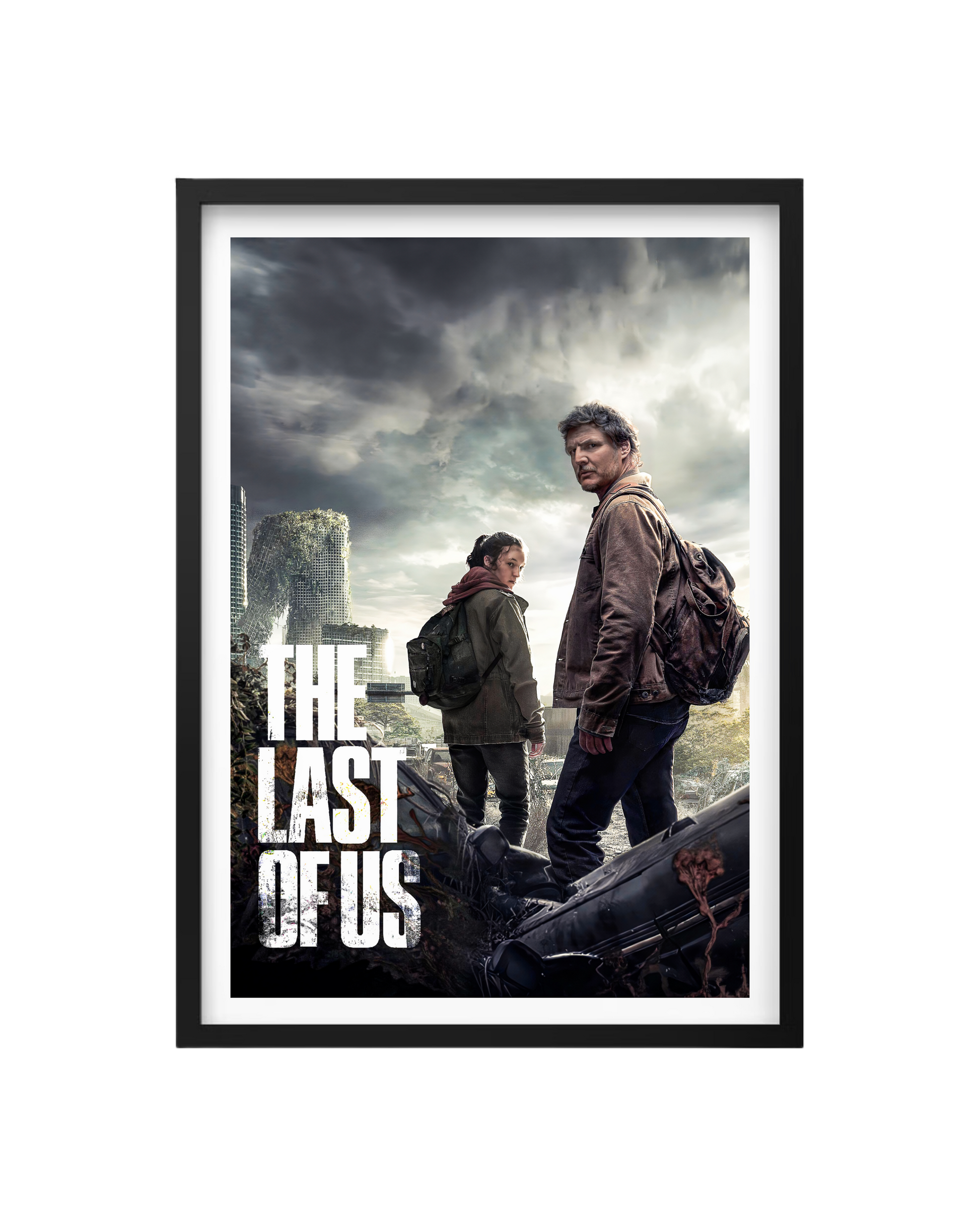 Cuadro The Last Of Us