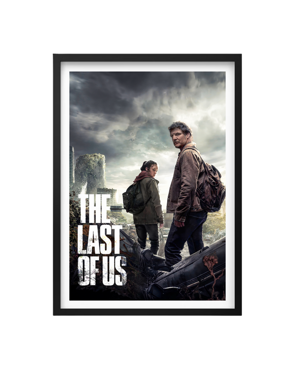 Cuadro The Last Of Us