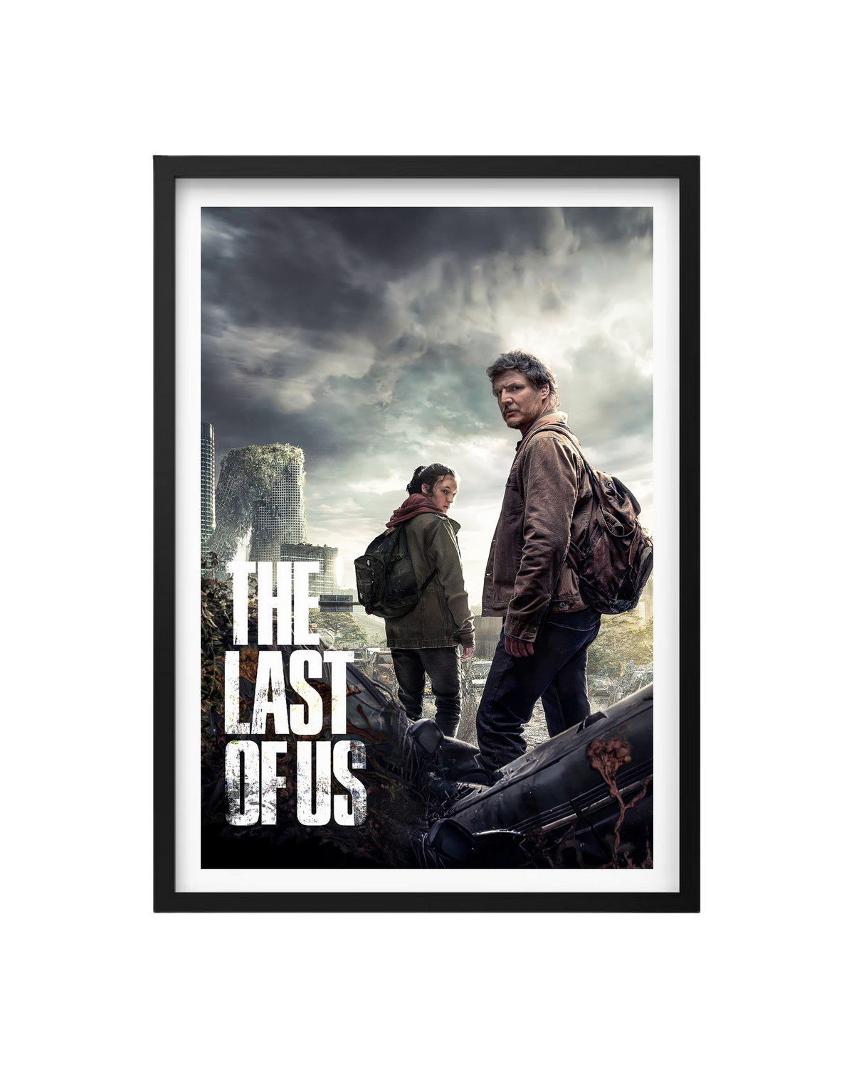 Cuadro The Last Of Us