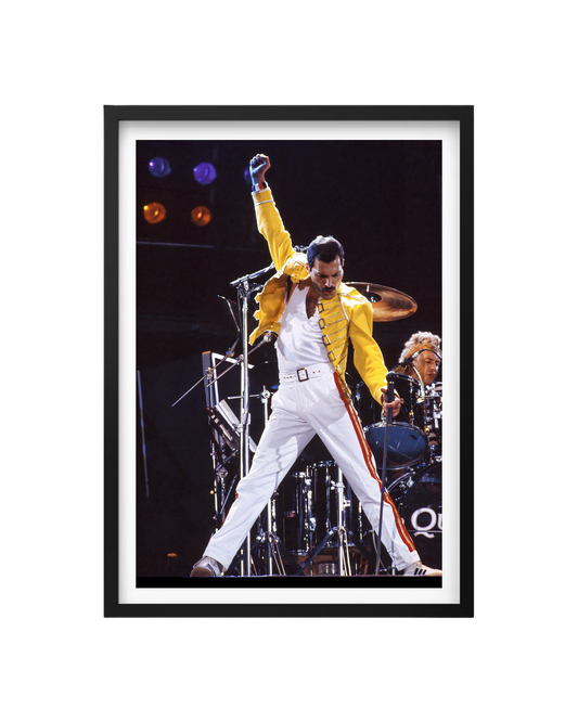 Cuadro Freddie Mercury (Queen)