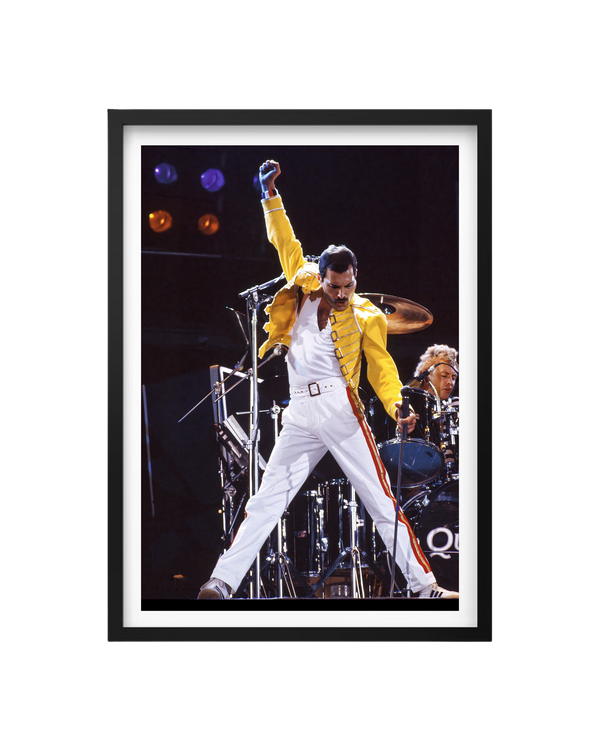 Cuadro Freddie Mercury (Queen)