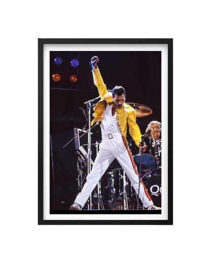 Cuadro Freddie Mercury (Queen)