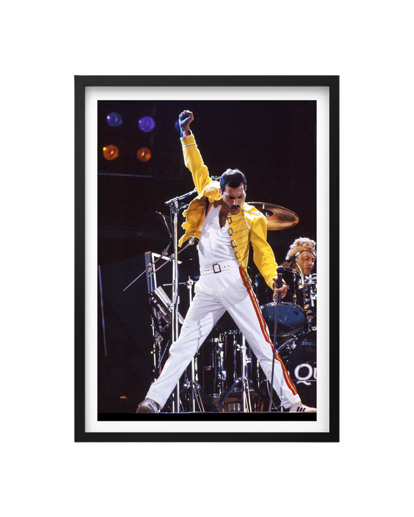 Cuadro Freddie Mercury (Queen)