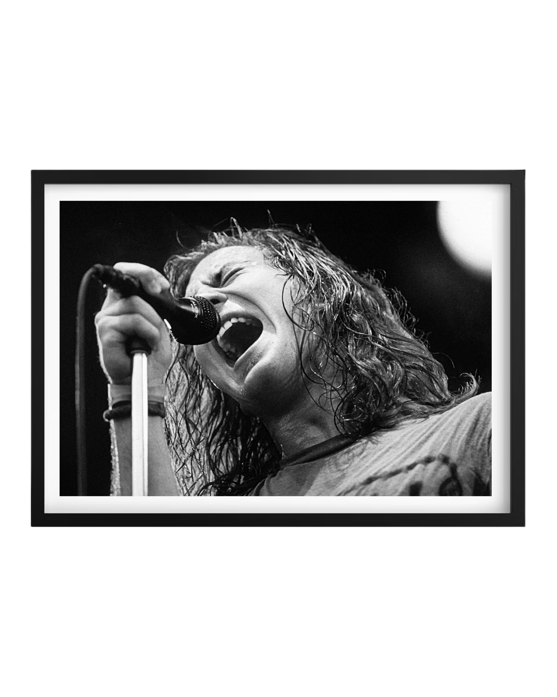 Cuadro Eddie Veder (Pearl Jam)