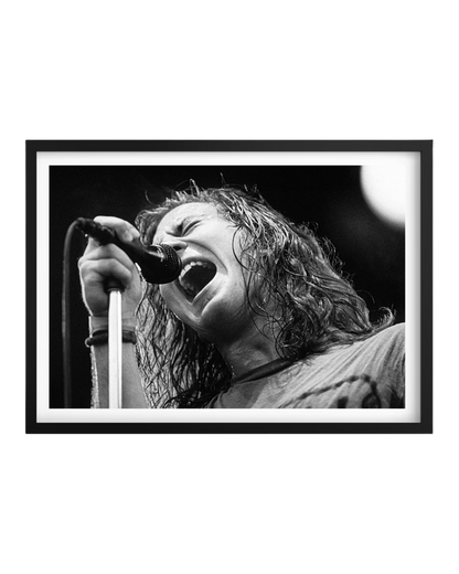 Cuadro Eddie Veder (Pearl Jam)
