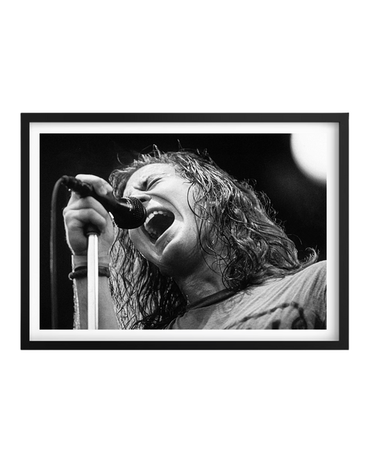 Cuadro Eddie Veder (Pearl Jam)