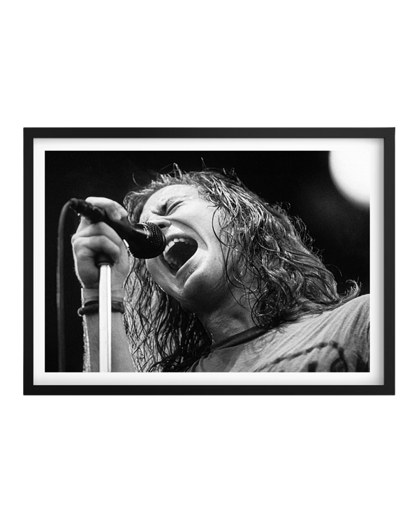 Cuadro Eddie Veder (Pearl Jam)