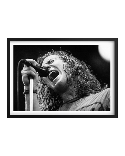 Cuadro Eddie Veder (Pearl Jam)