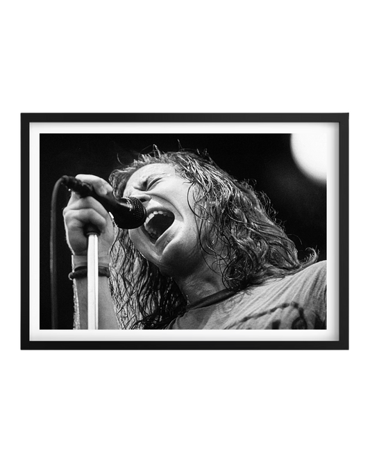 Cuadro Eddie Veder (Pearl Jam)