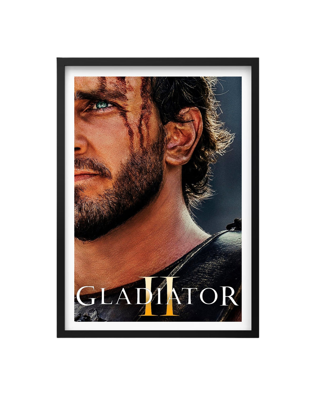 Cuadro Gladiador II
