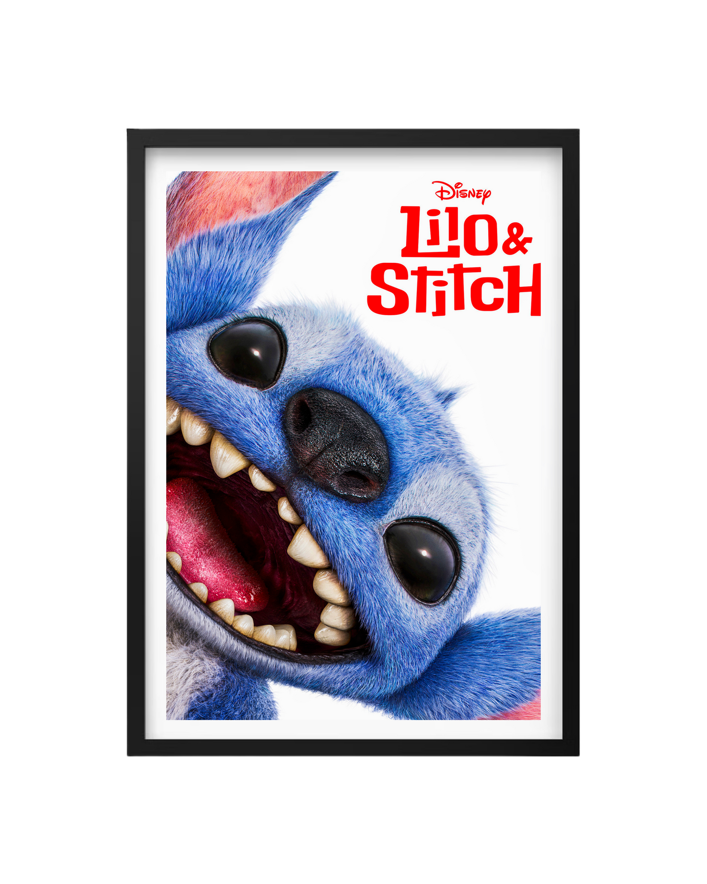 Cuadro Lilo & Stitch