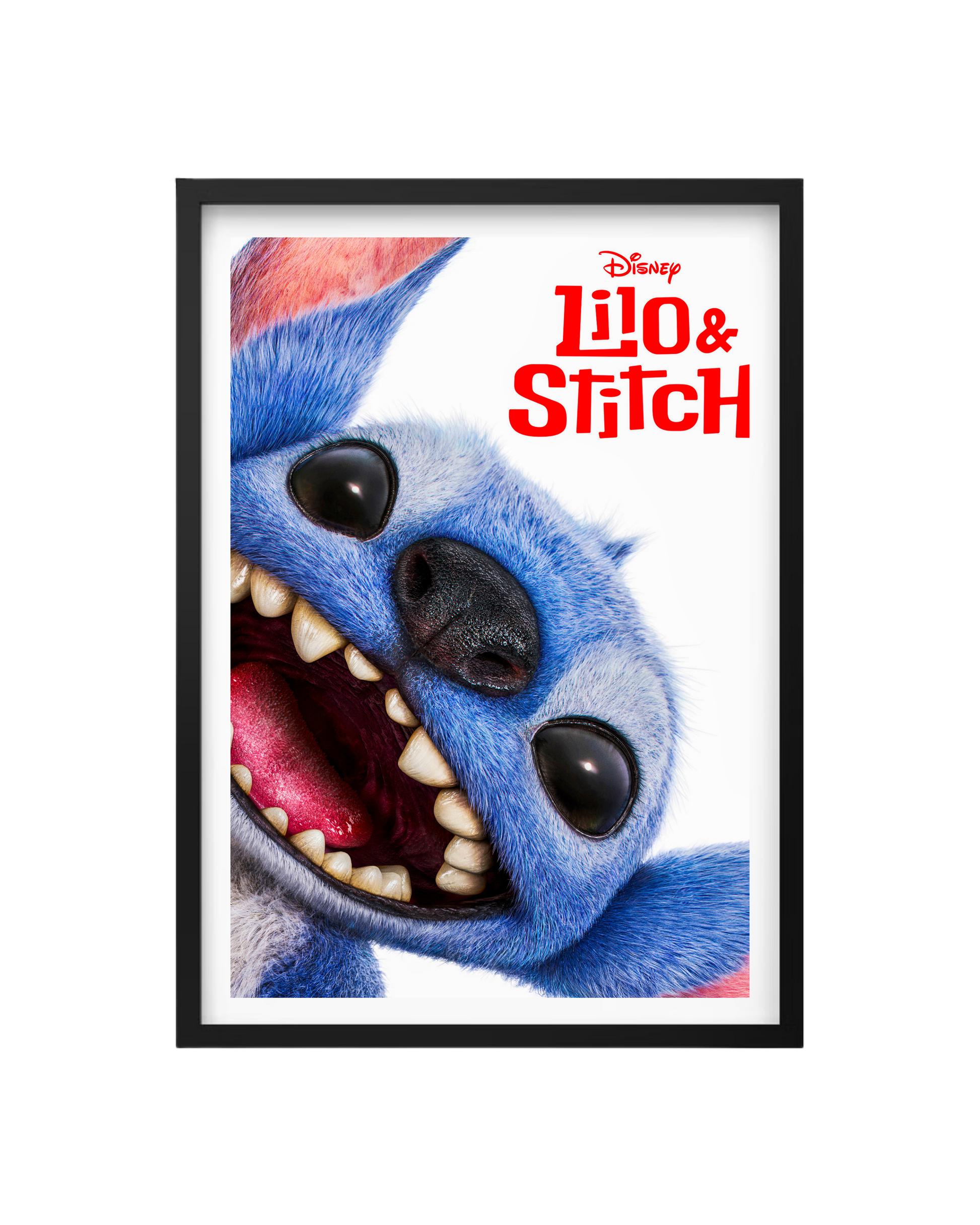 Cuadro Lilo & Stitch