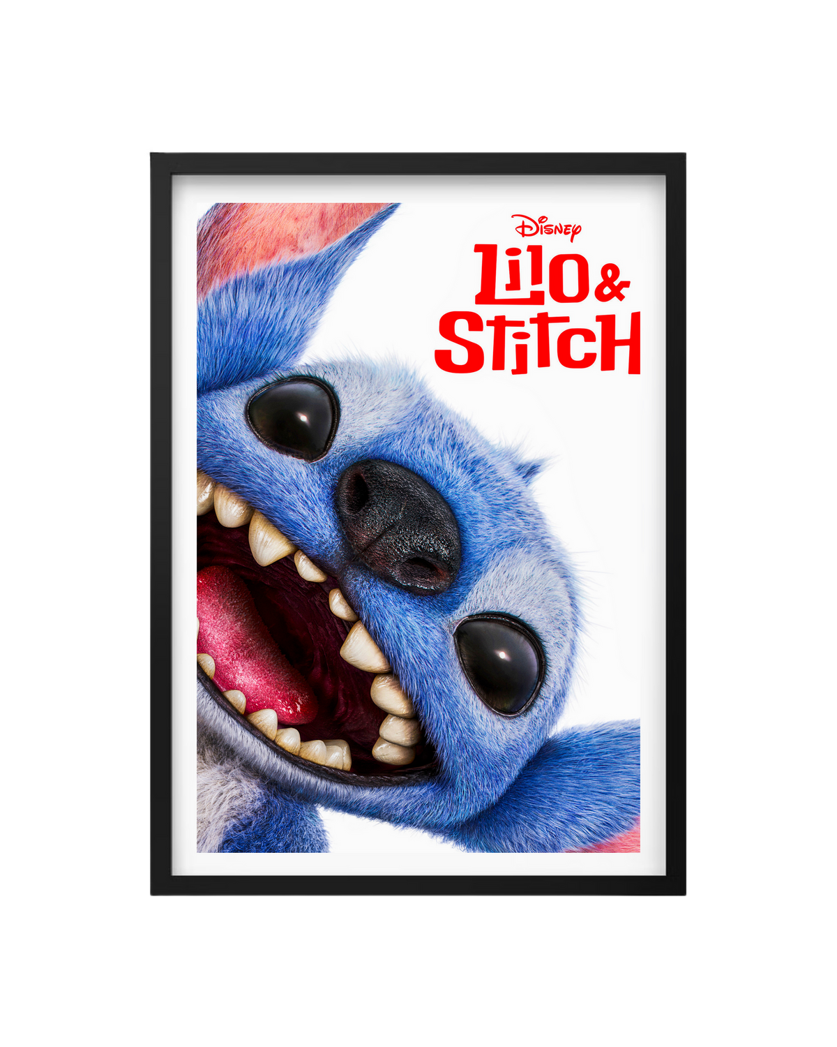 Cuadro Lilo & Stitch