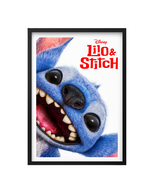 Cuadro Lilo & Stitch
