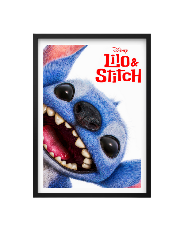 Cuadro Lilo & Stitch