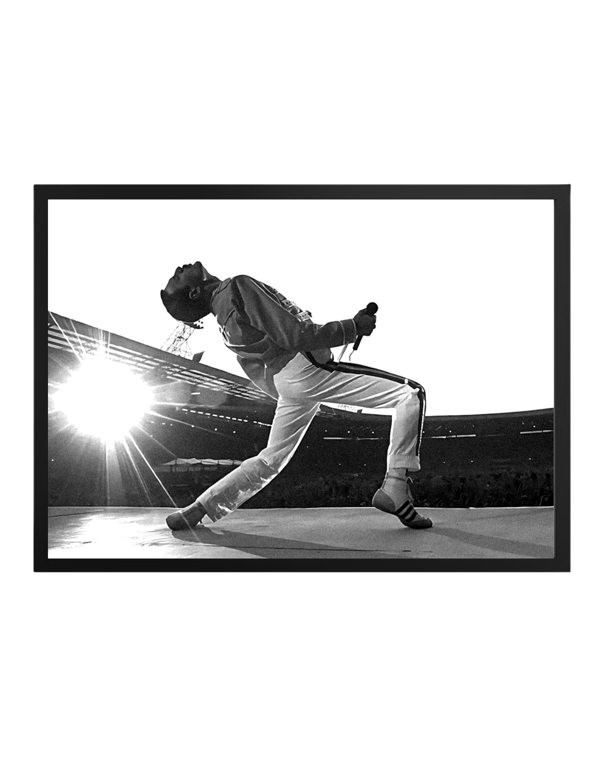 Cuadro Freddie Mercury Queen