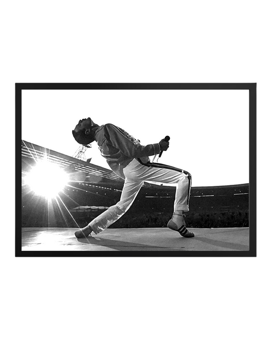 Cuadro Freddie Mercury Queen