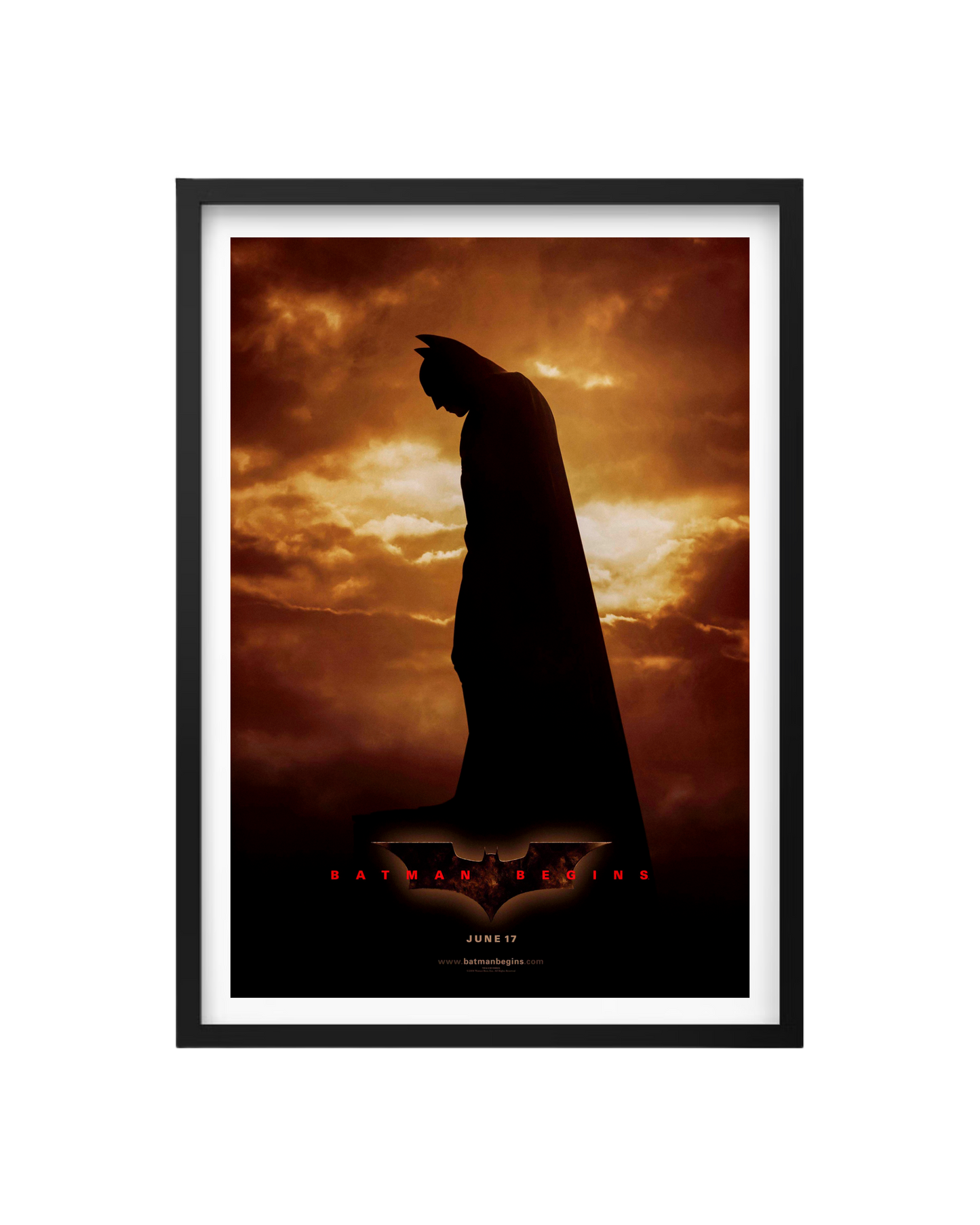 Cuadro Batman Begins