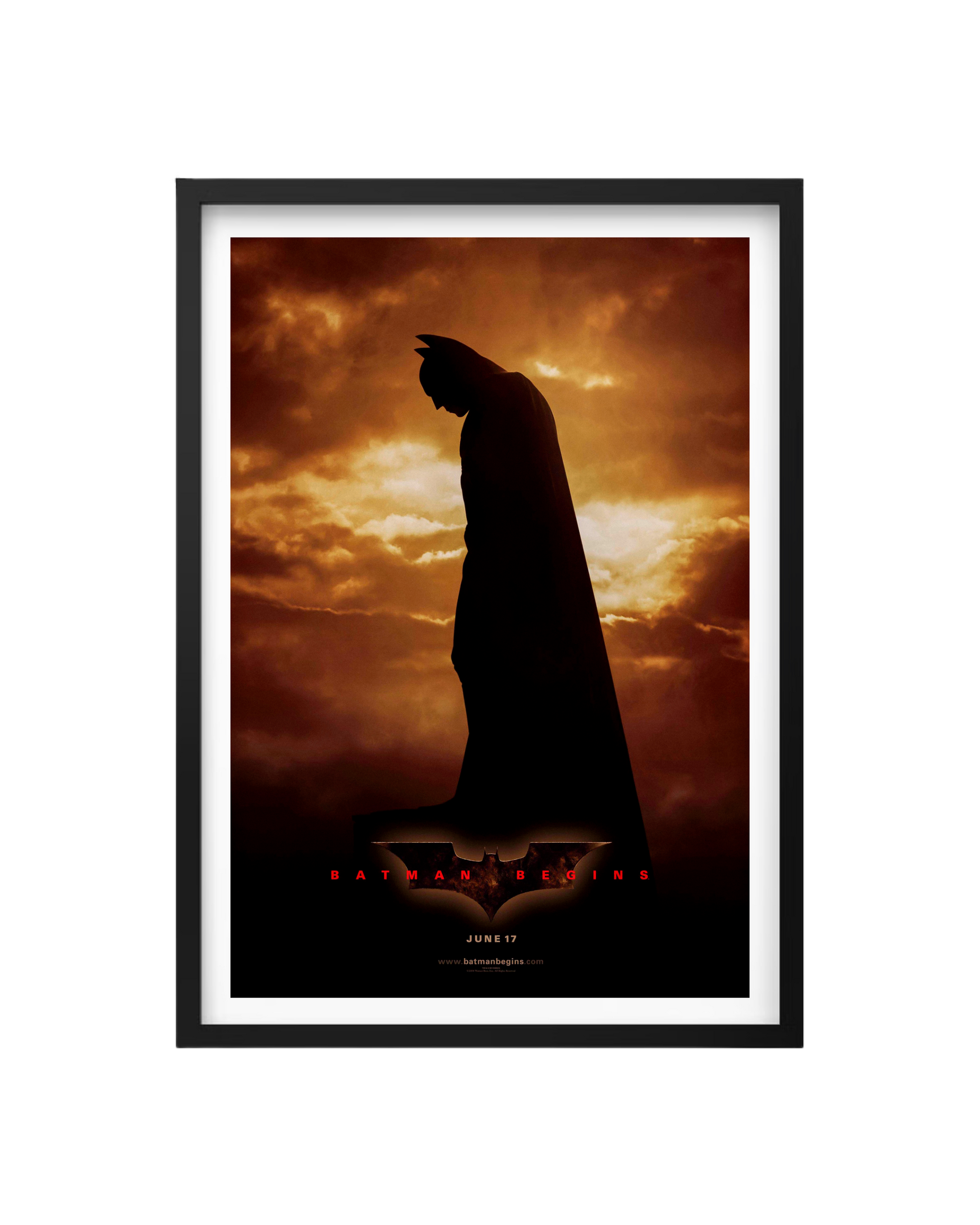 Cuadro Batman Begins
