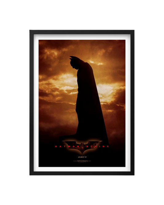 Cuadro Batman Begins