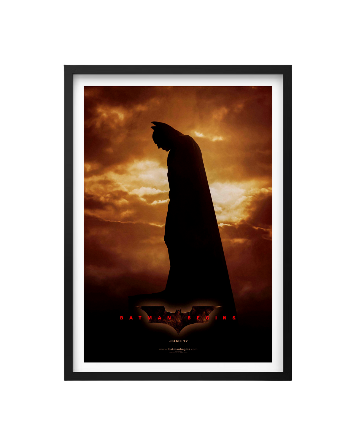 Cuadro Batman Begins