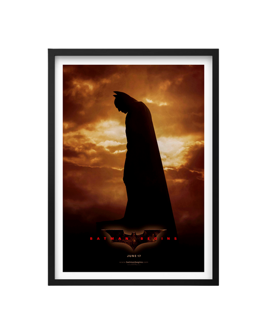Cuadro Batman Begins