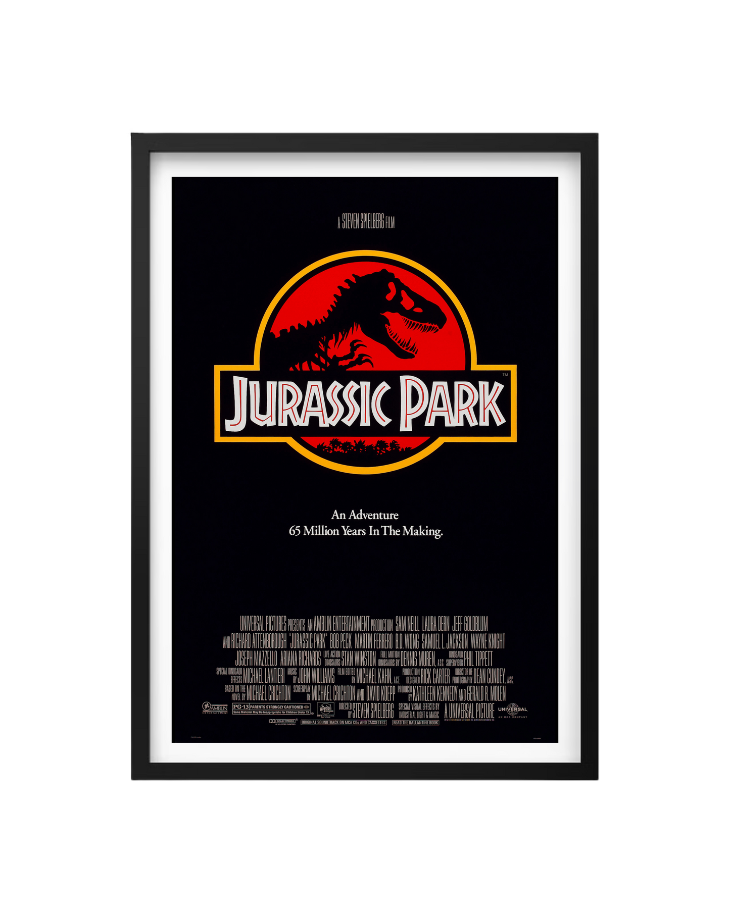 Cuadro Jurassic Park