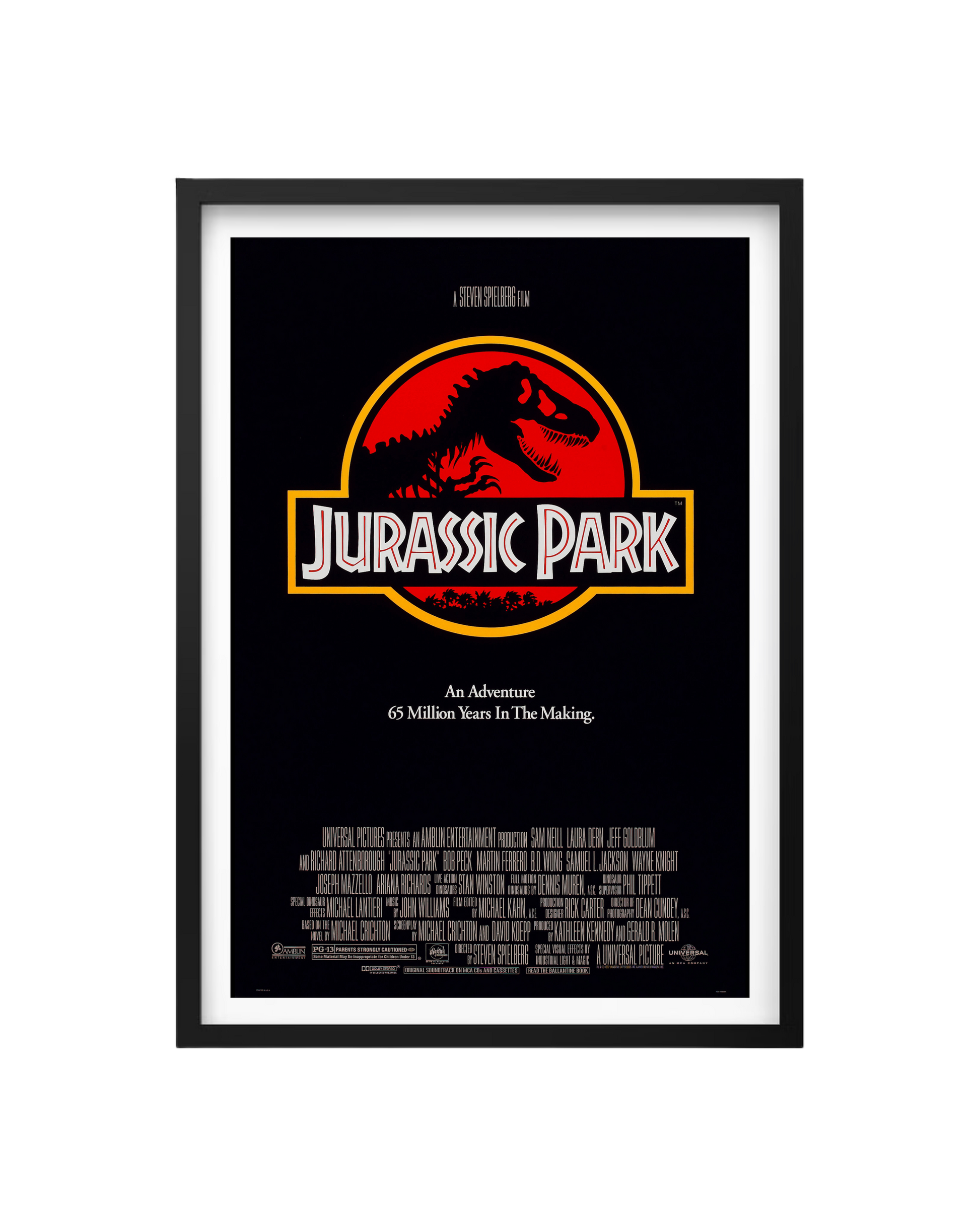 Cuadro Jurassic Park